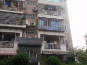 大唐世家(八期)