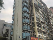 新城国际